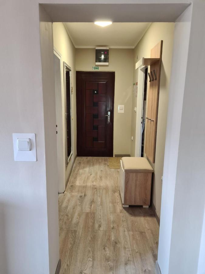 Apartman Petrov Donji Milanovac Exterior photo
